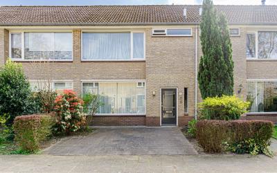Van den Els. 10