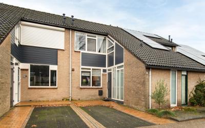 de Roos 5