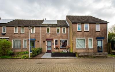 Buntven 30