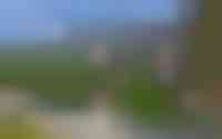 Wilgepad 20