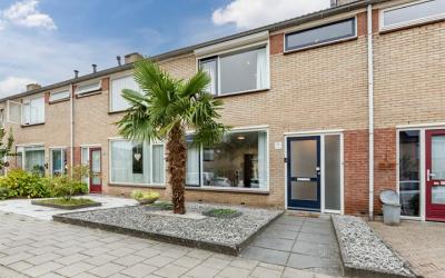 Beukstraat 8