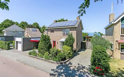 Van Brabant. 1