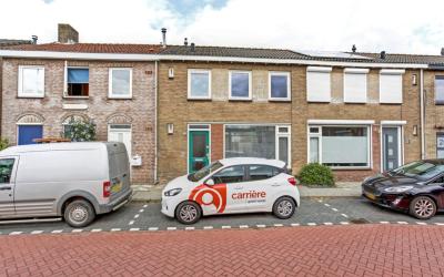Zonnebloems. 21