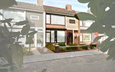 Korte Leeuw. 8