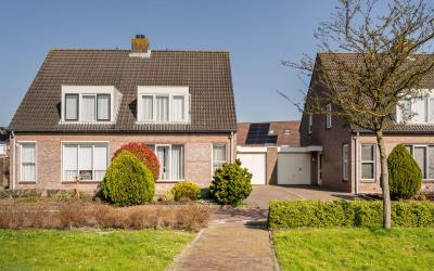Scholekster. 12