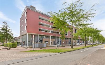 Burgemeeste. 339