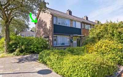 Pieter de H. 1