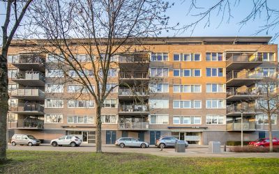 Lindenburg 50