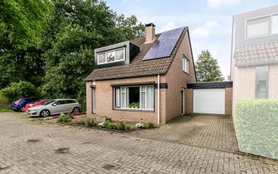 Ambrozijnbe. 12