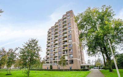 Lodewijkdonk 13