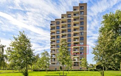 Lodewijkdonk 19