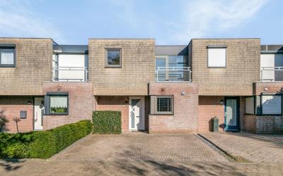 Jasmijnberg 3