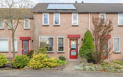 Braak 6