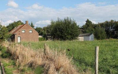 Groene Woud 58