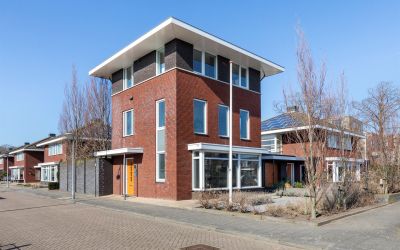 in den Boom. 2