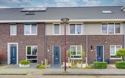 Wilgenroos 19