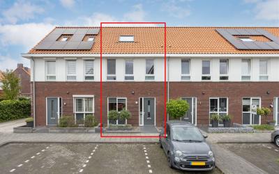 Wilgenroos 3