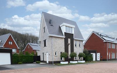 Steenarend 10