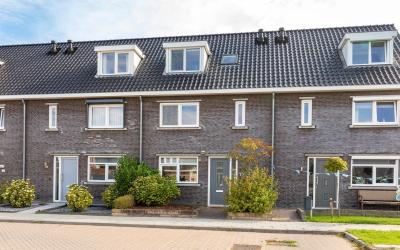 Zomervlinder 17