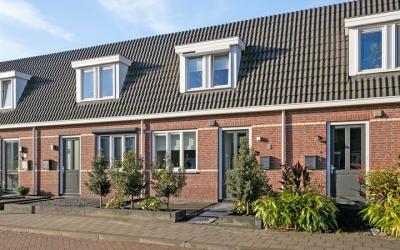 Zomervlinder 6