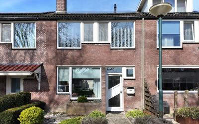 Gaasbeek 50