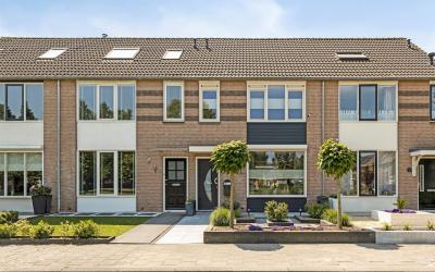Vogelwikkes. 13