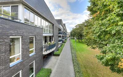 Rijngraafst. 6