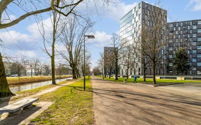 Nonnenveld 561