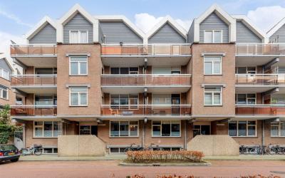 Nieuwe Dies. 248