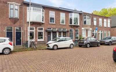 Oranjebooms. 67