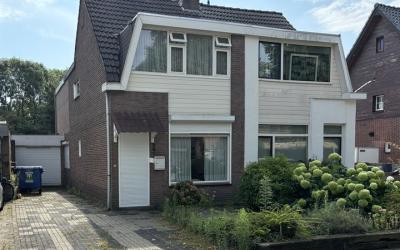 Oranjebooms. 247