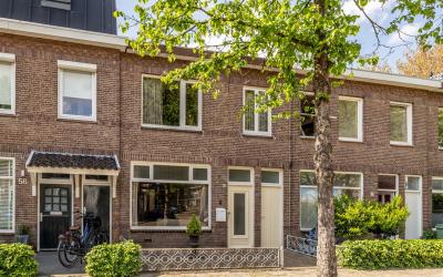 Oranjebooms. 54