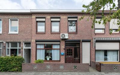 Oranjebooms. 72