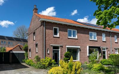 Oranjebooms. 222