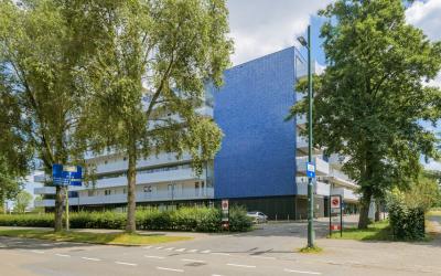 Vijfhagen 334