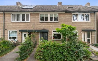 Deken Floor. 16