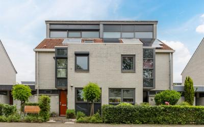 Zandoogjes 12