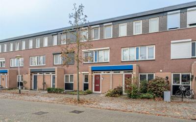 Dwergblauwt. 12