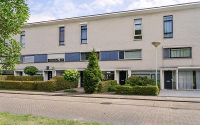 Kleine Vos 5
