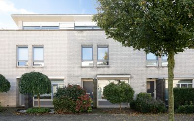 Dagpauwoog 3