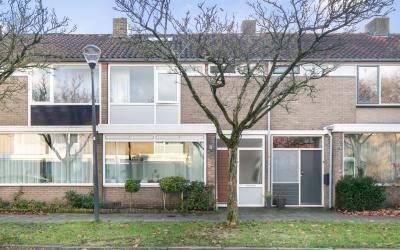 Bijvang 5