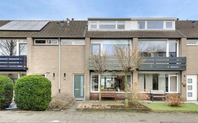 Bergschot 374
