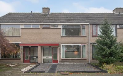 Sterrebos 4