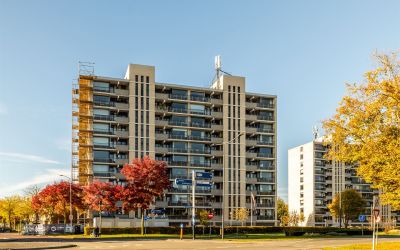 Grote Spie 119