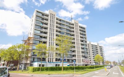 Grote Spie 171