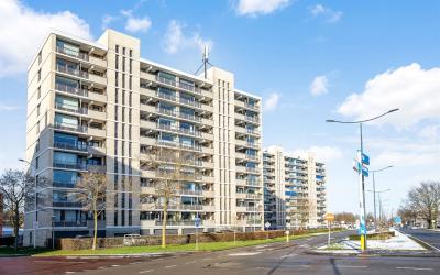 Grote Spie 173