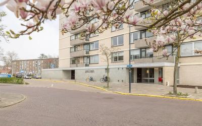 Grote Spie 235