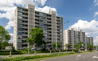 Grote Spie 261