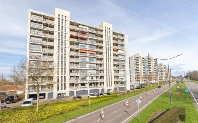Grote Spie 309