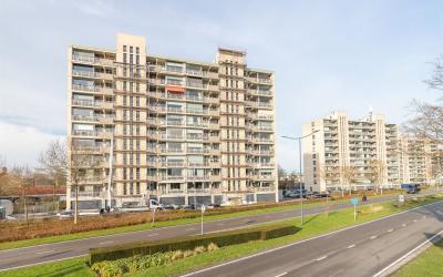 Grote Spie 351